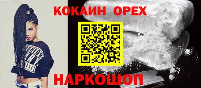 индика Дубна