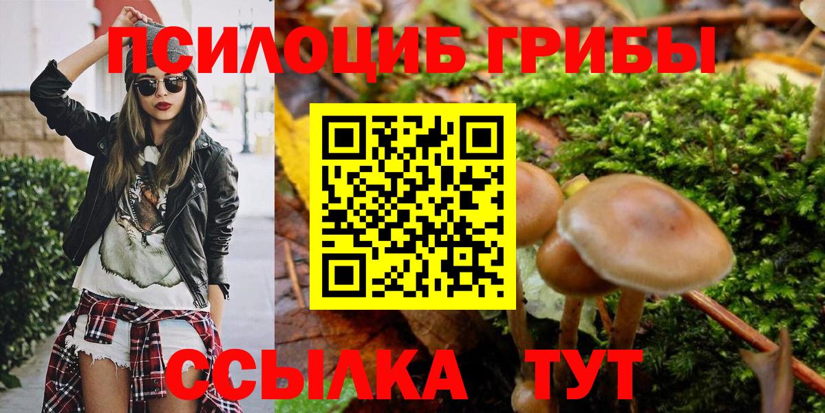 Псилоцибиновые грибы GOLDEN TEACHER Михайловск