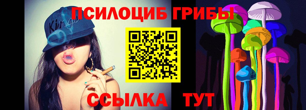 Псилоцибиновые грибы Psilocybine cubensis  цена наркотик  Михайловск  Вход с VPN  Галлюциногенные грибы Psilocybe 